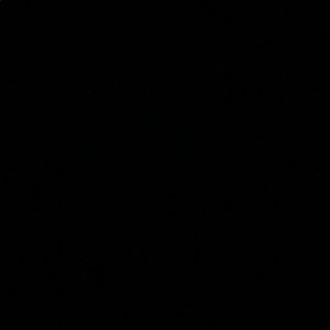 Meet your Posher, Jae